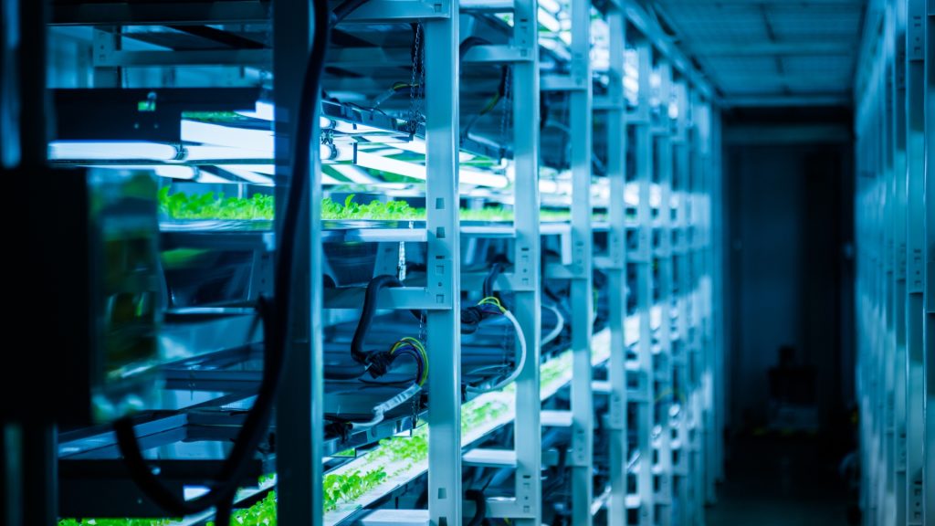 dataCableBanner - ASW Electrical commercial electrician brisbane